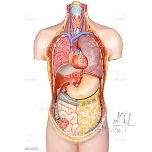 Yashwant Paramedical College, Nanded